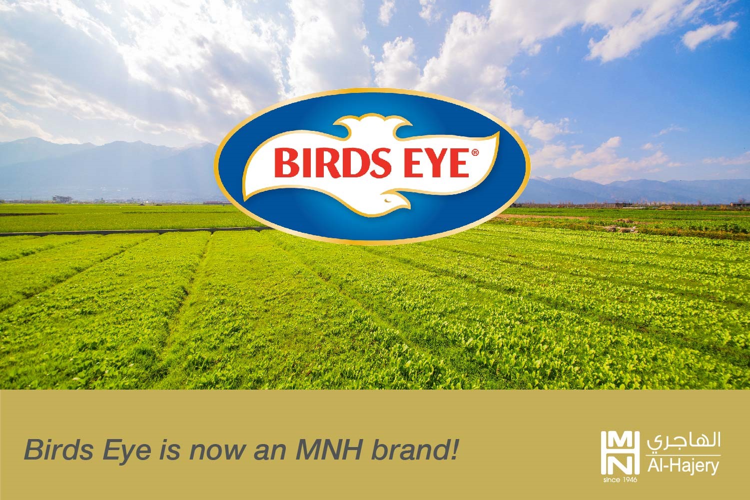 MNH acquires Birds Eye